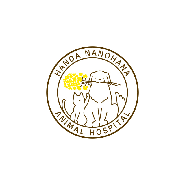 犬・猫の慢性腎不全