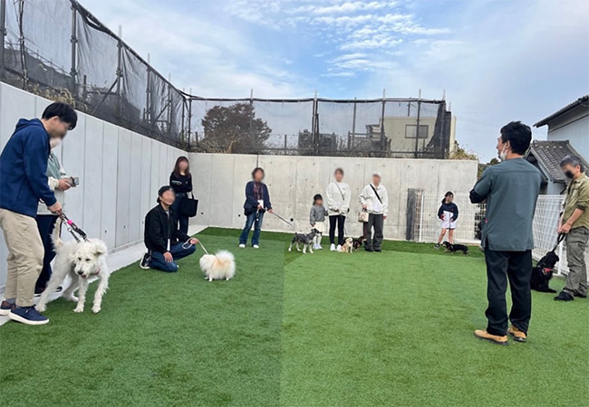 公開ドッグラン3