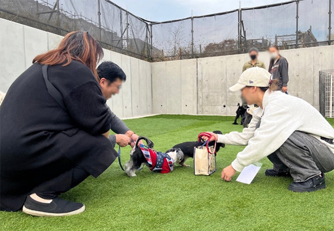 公開ドッグラン4