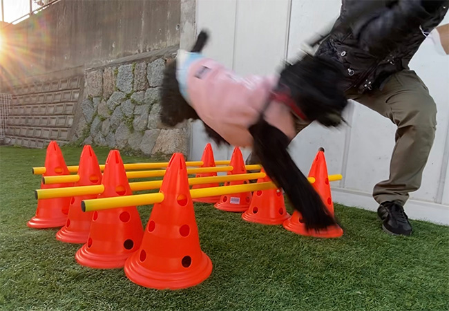 公開ドッグラン7